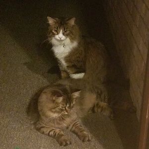 Meet your Posher, Ellie